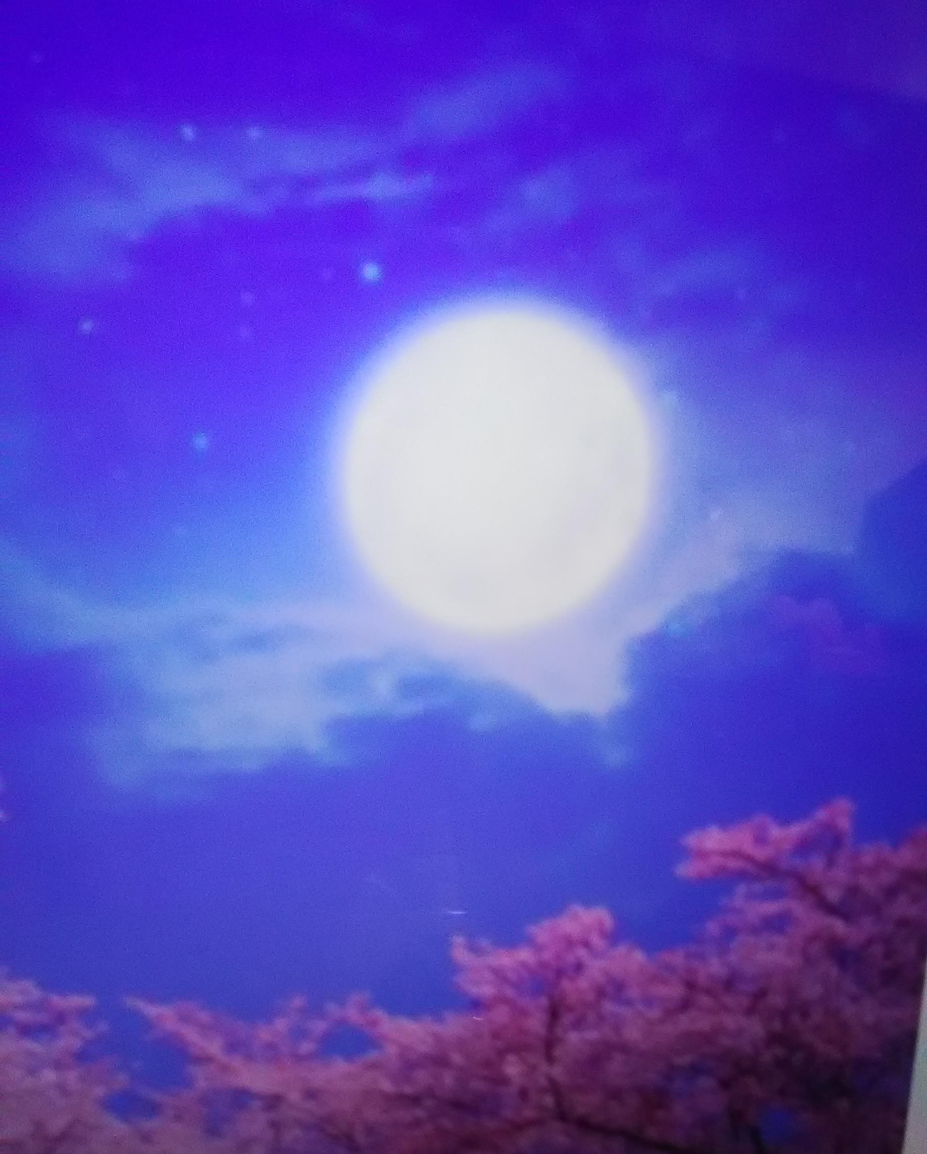 天秤座の満月は優雅でおしゃれに 泉里 ミサト 先生 電話占いカリス 口コミで当たると話題の電話占い