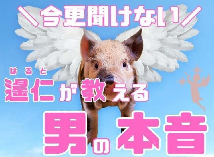 遙仁が教える男の本音