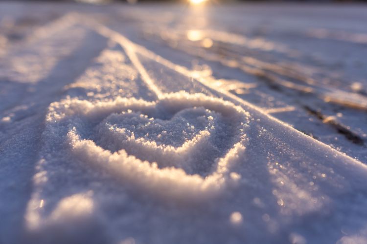 �u�����v�������A�c������