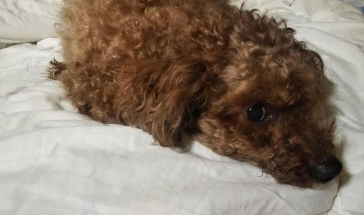 �x���̉߂������E�����ƗV�Ԏ�