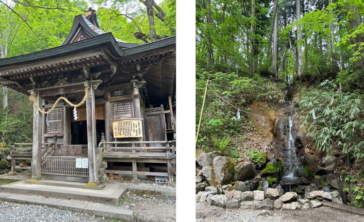 �p���[�X�|�b�g�E�ˉB�_��