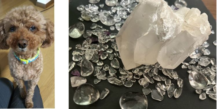 �����E�p���[�X�g�[��