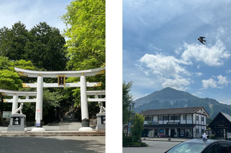 �p���[�X�|�b�g�@�O���_�ЁE�����w�ɂ�