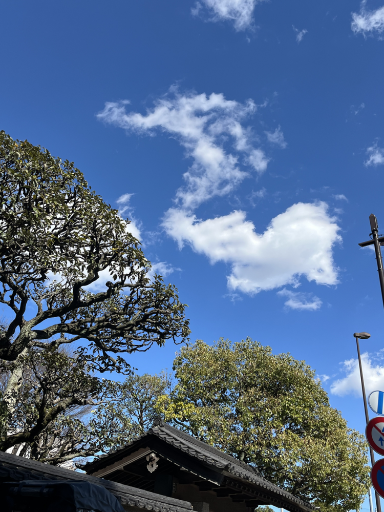 ���_ �ғ��R���V�ɂ�