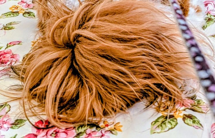 ���t���t�̈���