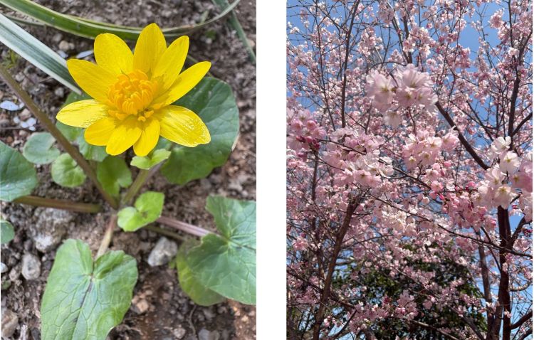 �������߂̃p���[�X�|�b�g