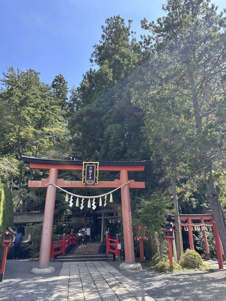 ����{�{�V�͑噞���V�Ђ��܁E�ޗ�