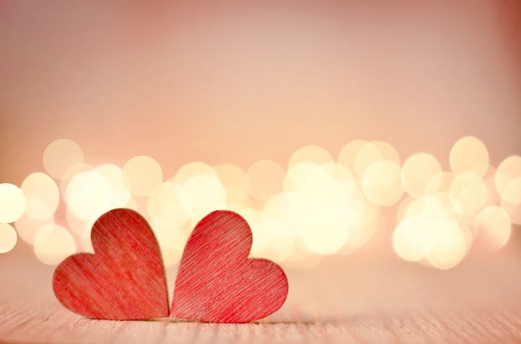 �d�b�肢�ŗ������k