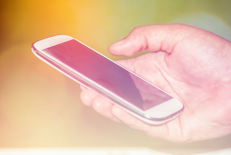 cCĈƂŔY݂AJXɑk悤