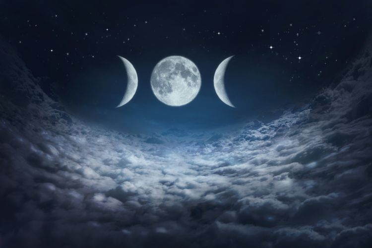 ���܂������Ȃ����ƉF���̃��Y��