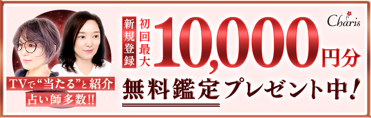 �V�K����o�^�ŏ���ő�10���i2600�~�����j�����Ӓ�v���[���g���I TV�œ�����ƏЉ� �肢�t�����I�I
